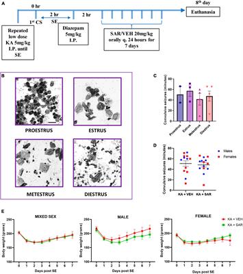The effects of Src tyrosine kinase inhibitor, saracatinib, on the markers of epileptogenesis in a mixed-sex cohort of adult rats in the kainic acid model of epilepsy